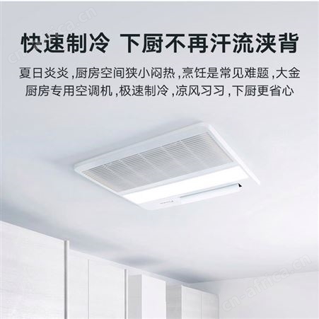 大金多联机一拖多VRV空调高耐久嵌入式厨房专用空调