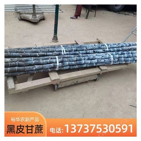 裕华果蔗基地 优质水果黑皮甘蔗 基地种植 全年供应