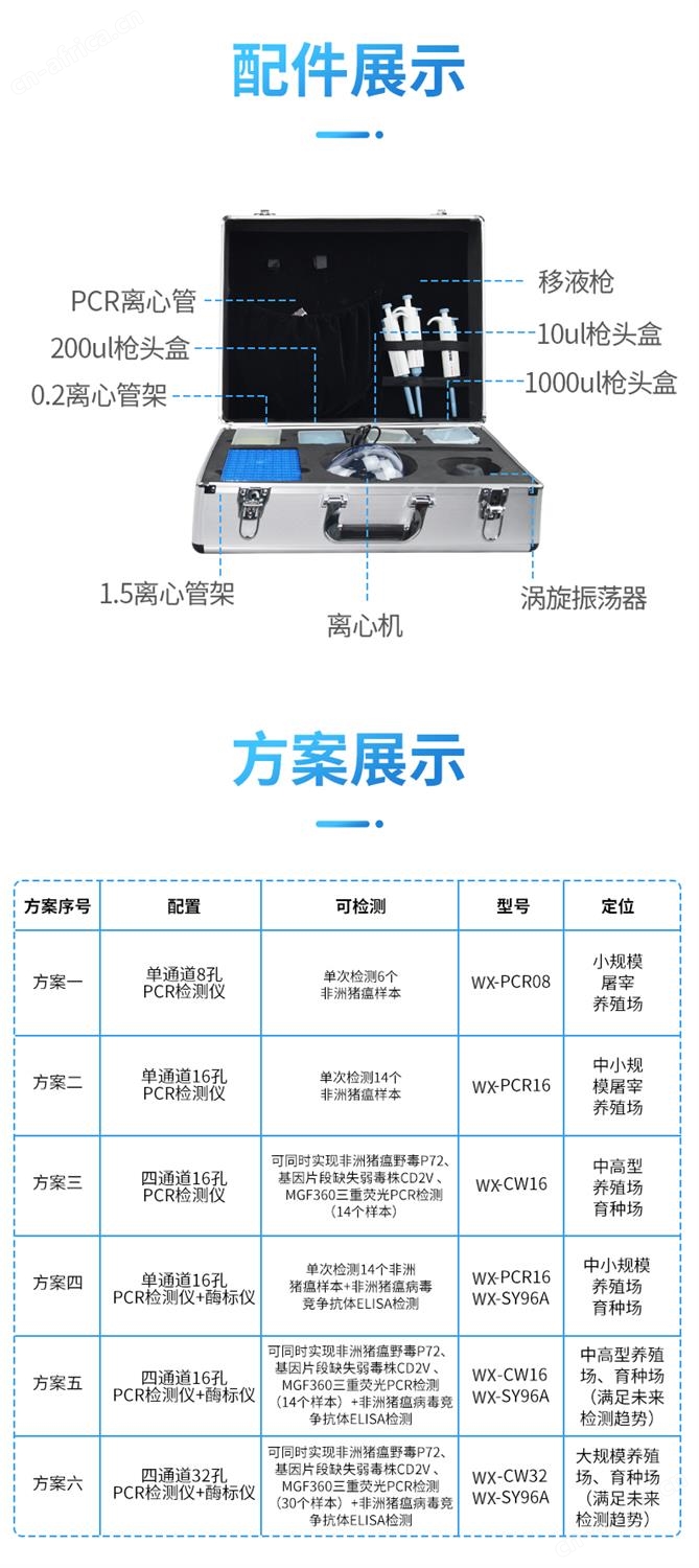 图层6-6.jpg