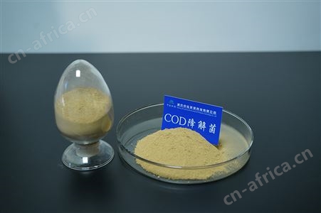 COD降解菌