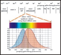 微型光纤光谱仪基础知识(图3)